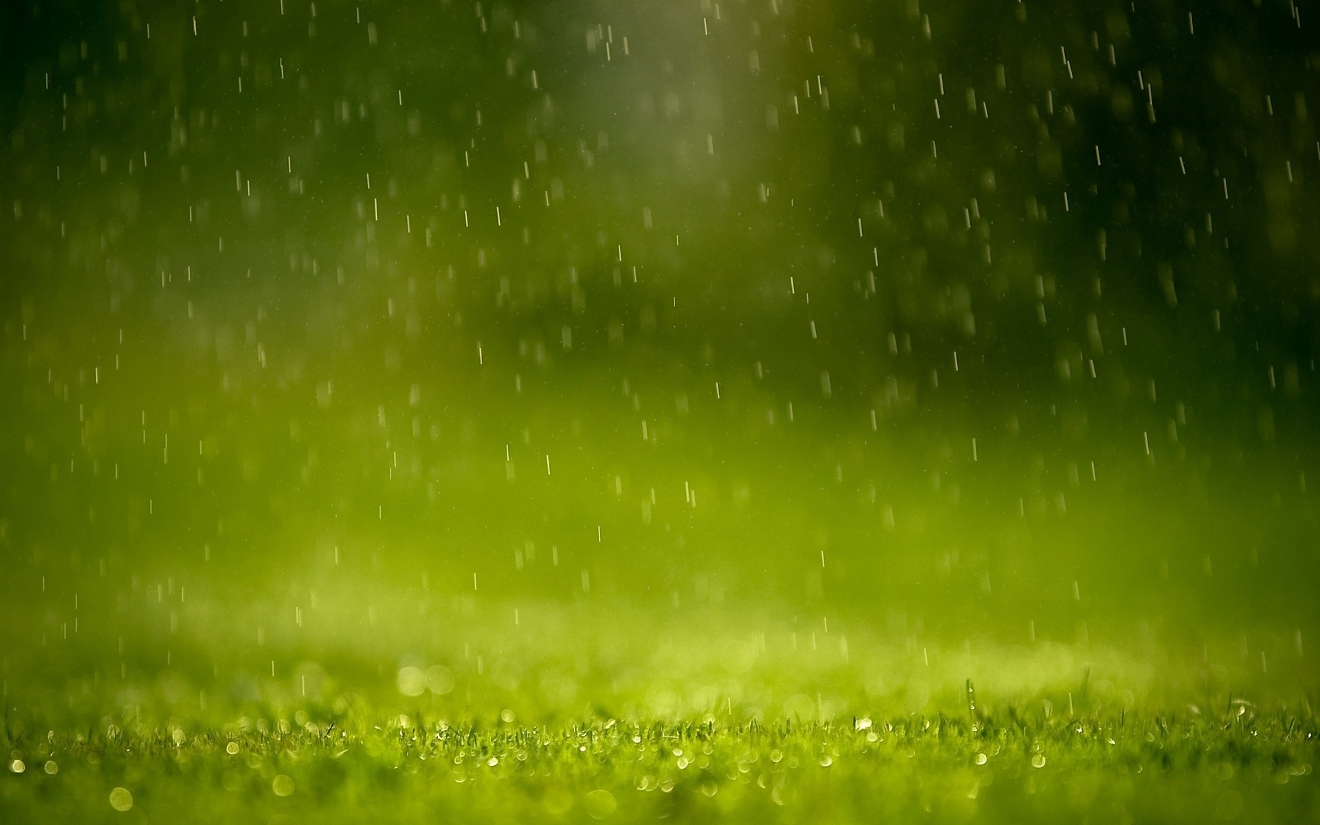 Spring Grama Wallpaper