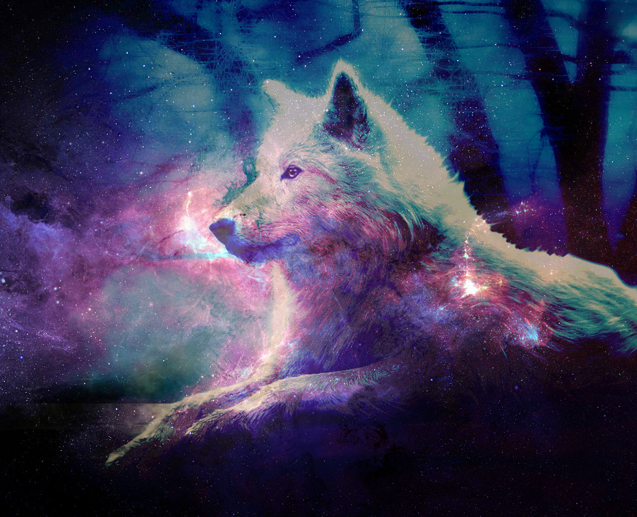  46 Galaxy  Wolf  Wallpaper  on WallpaperSafari
