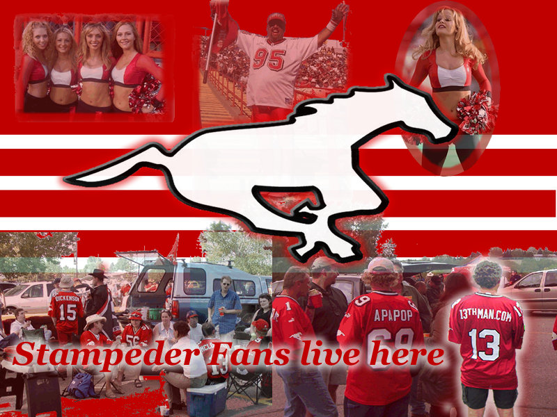 calgary stampeders wallpaper select your screen size 800x600