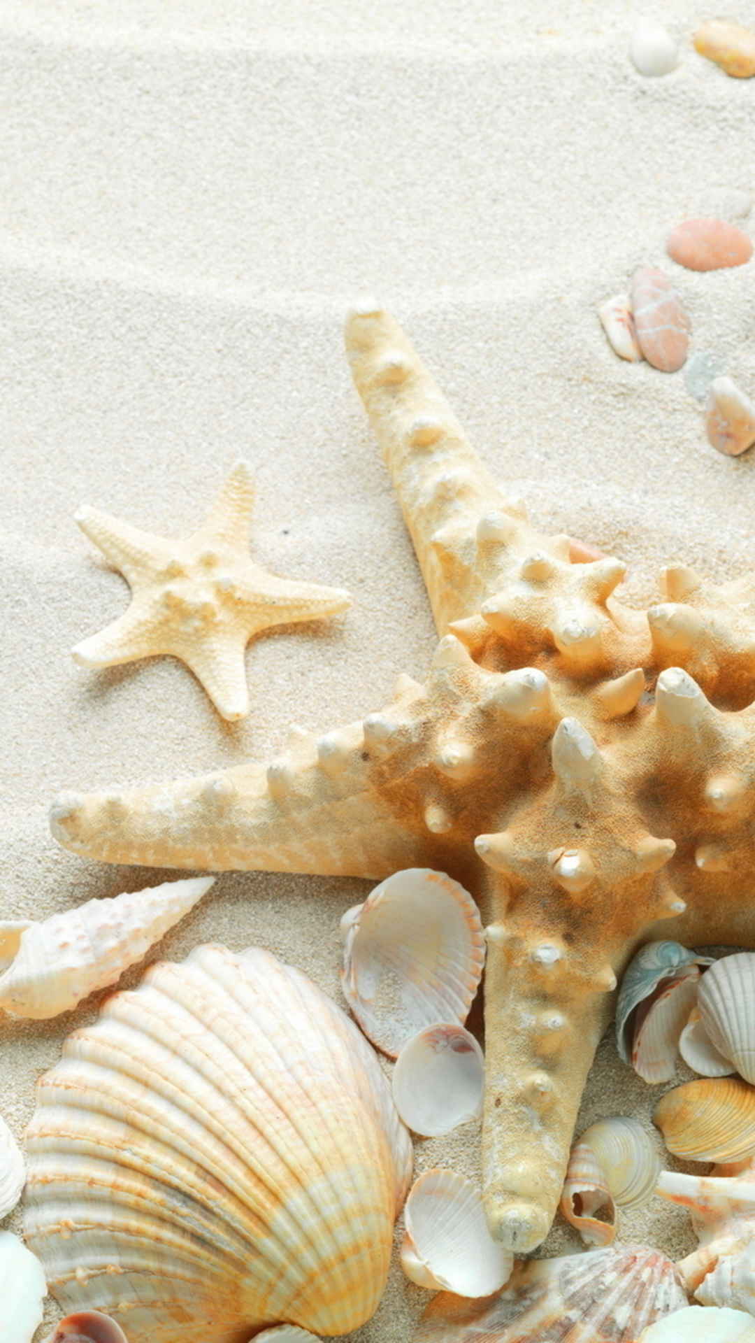 Pure Seaside Beach Starfish Seashell iPhone Wallpaper