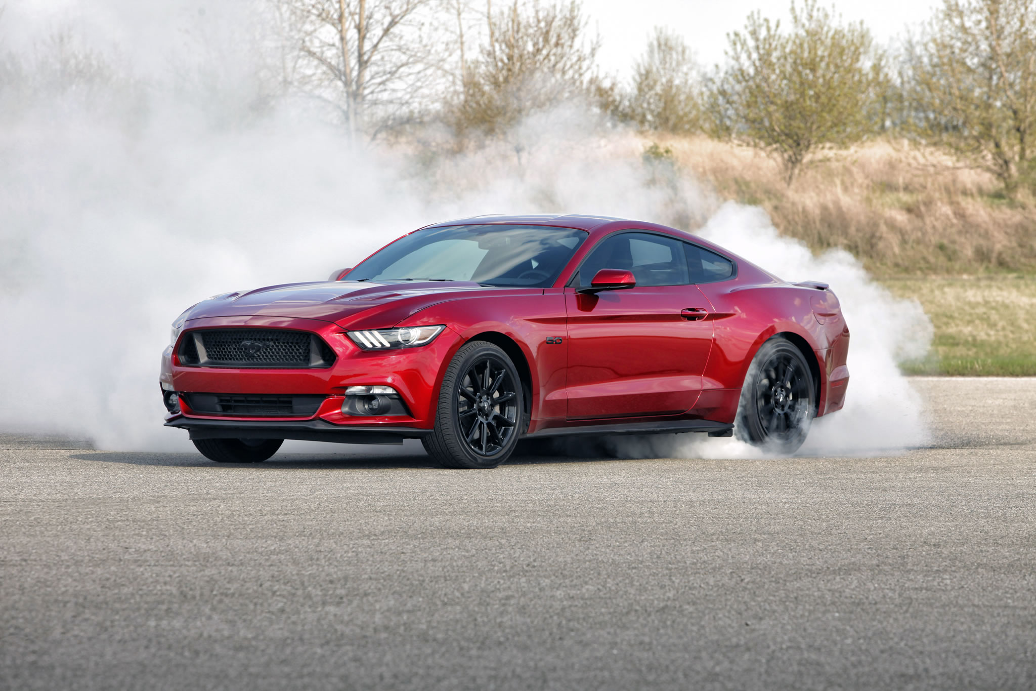 Ford Mustang Gt Front Photo Ruby Red Paint Burnout Size