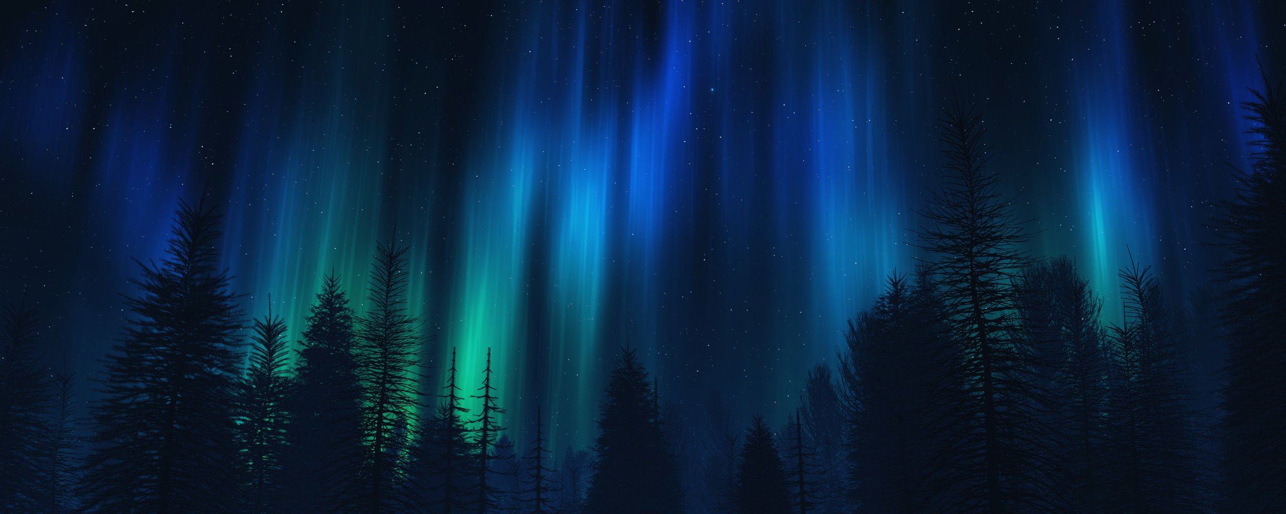Forests Aurora Borealis Wallpaper