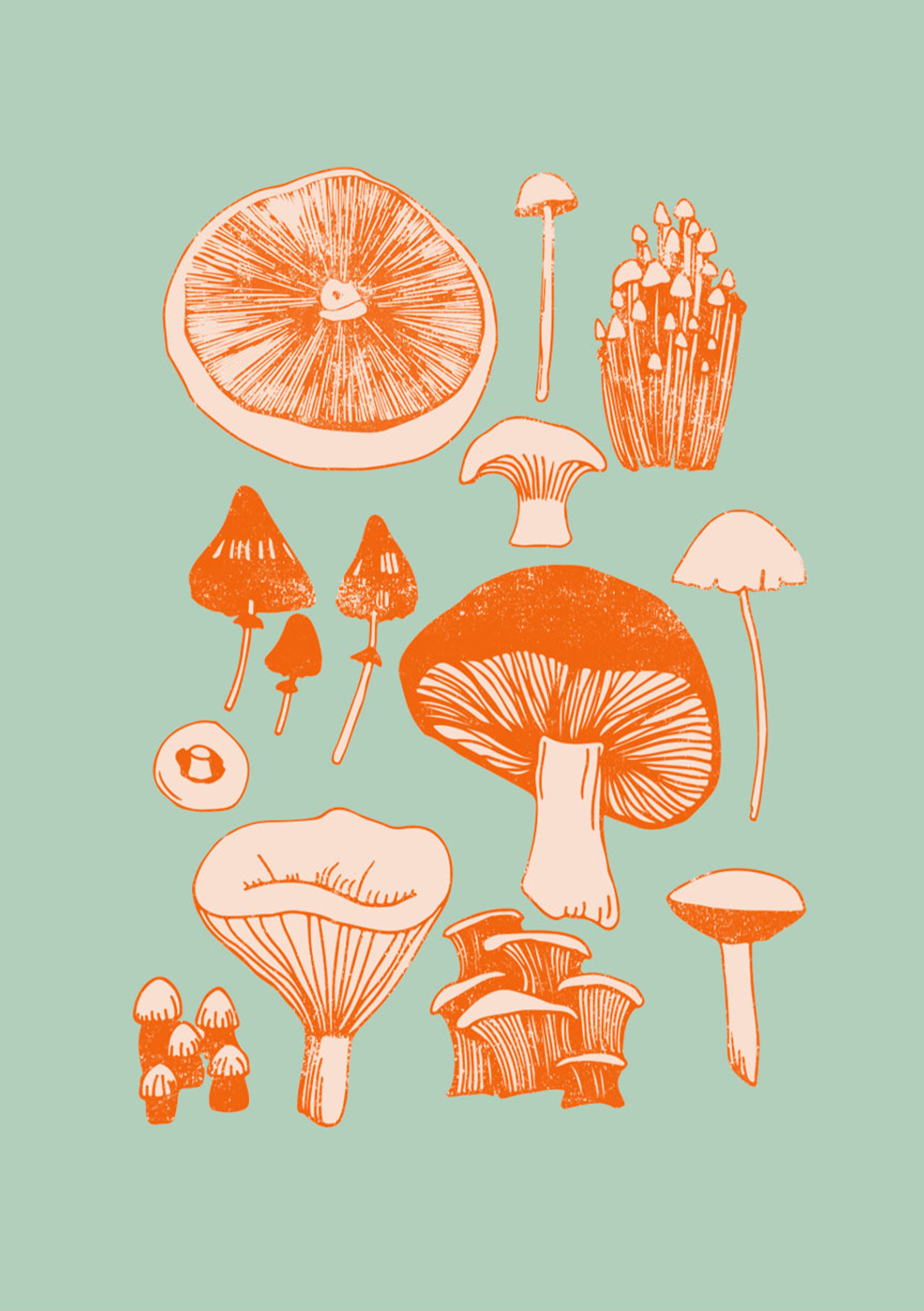 Mushroom Fungi Wall Art Print Uk