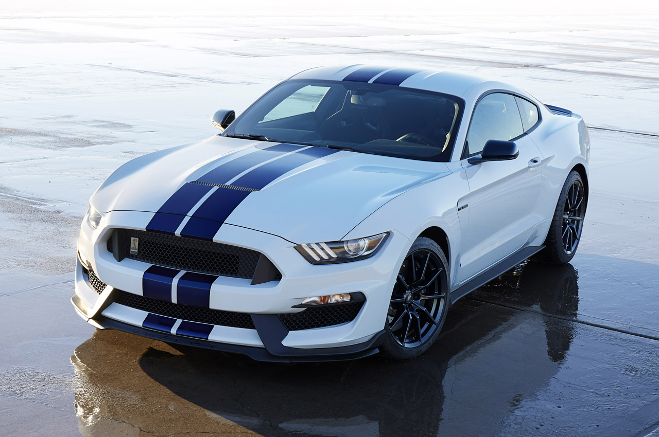 Photo Gallery Shelby Gt350 Mustangs Daily