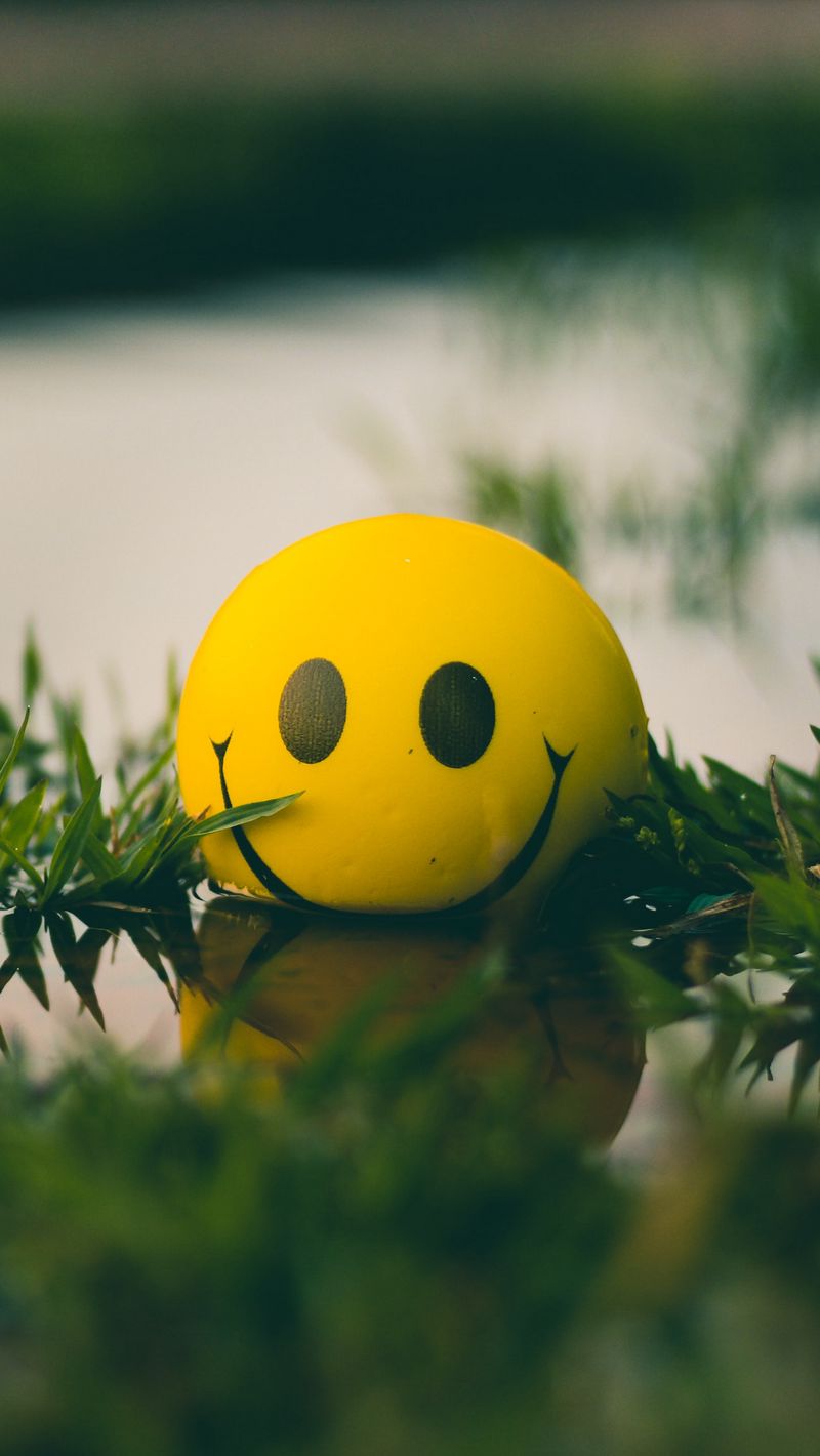 Free download Download wallpaper 800x1420 ball smile smiley grass ...
