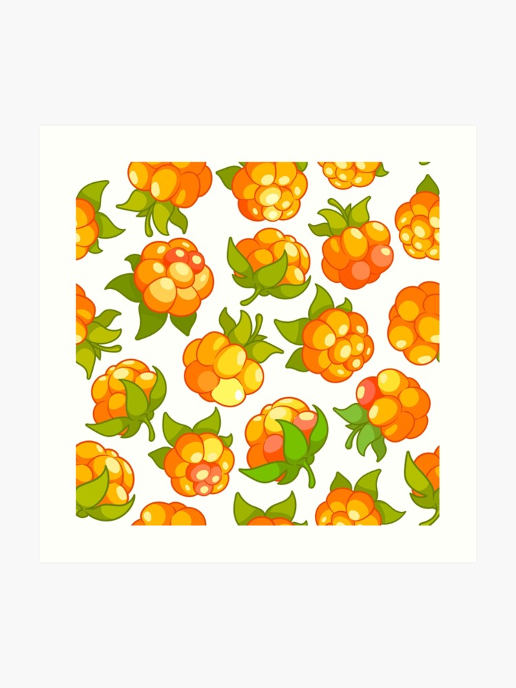 Pattern With Cloudberries On A White Background Art Print By