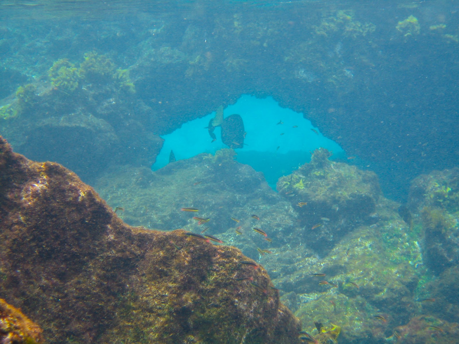 Beautiful Underwater Caves Wallpaper Snorkeling