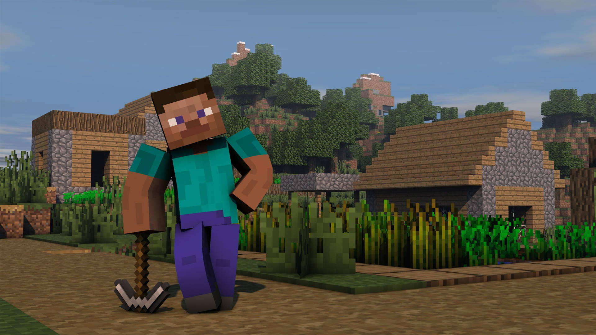 Minecraft Steve Picture Wallpaper