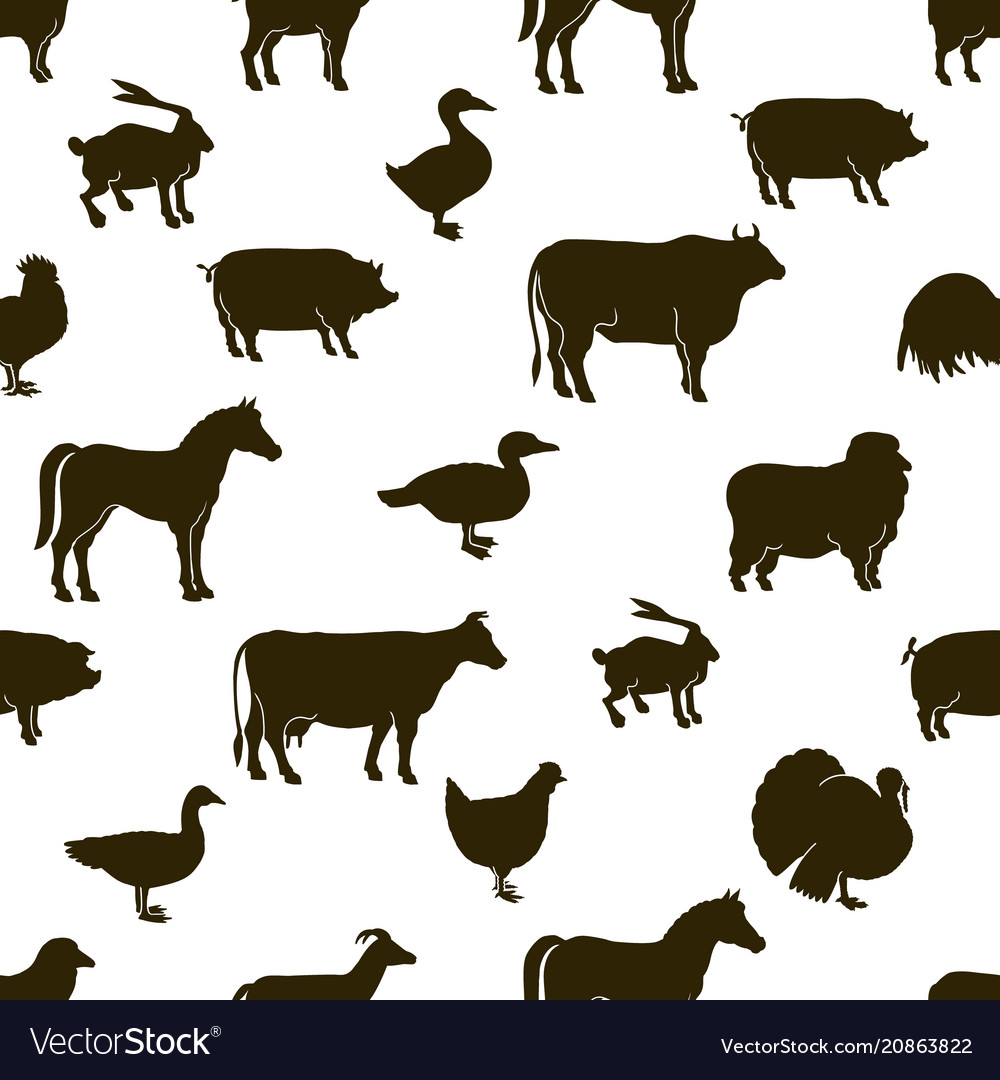 Farm Animals And Poultry Background Vector Image