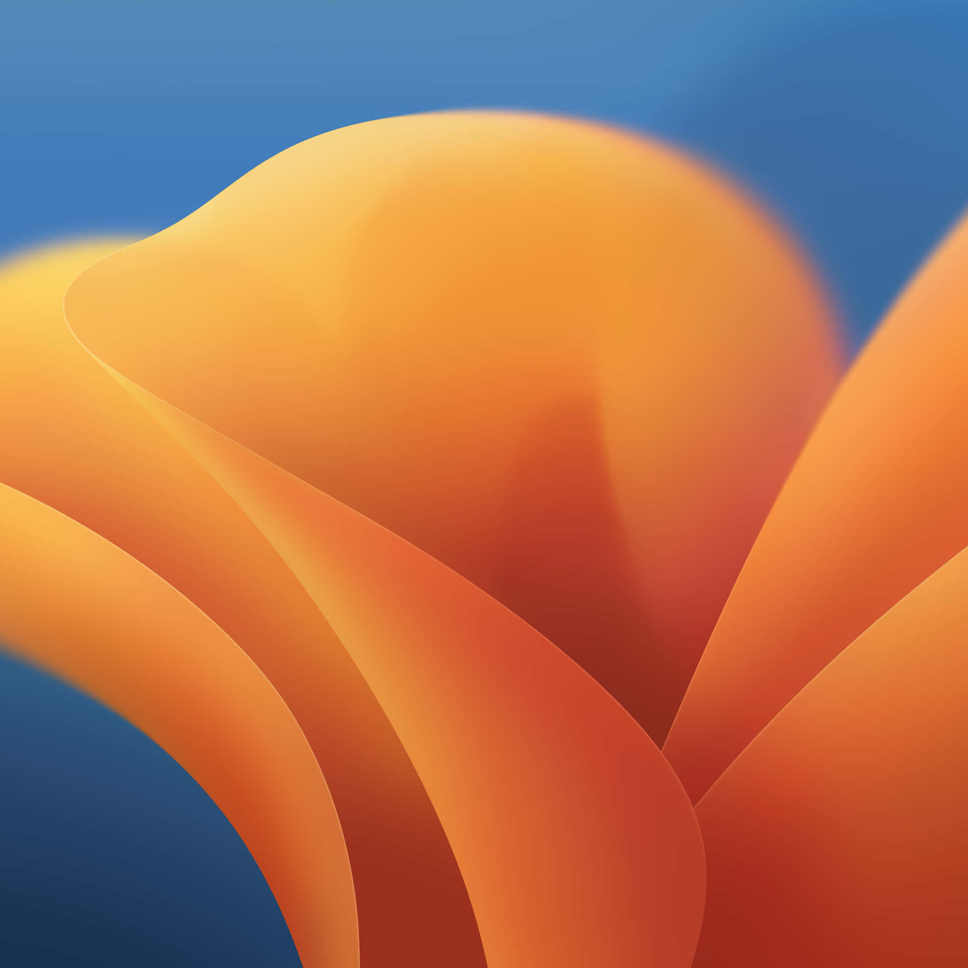 Orange And Teal Wallpaper