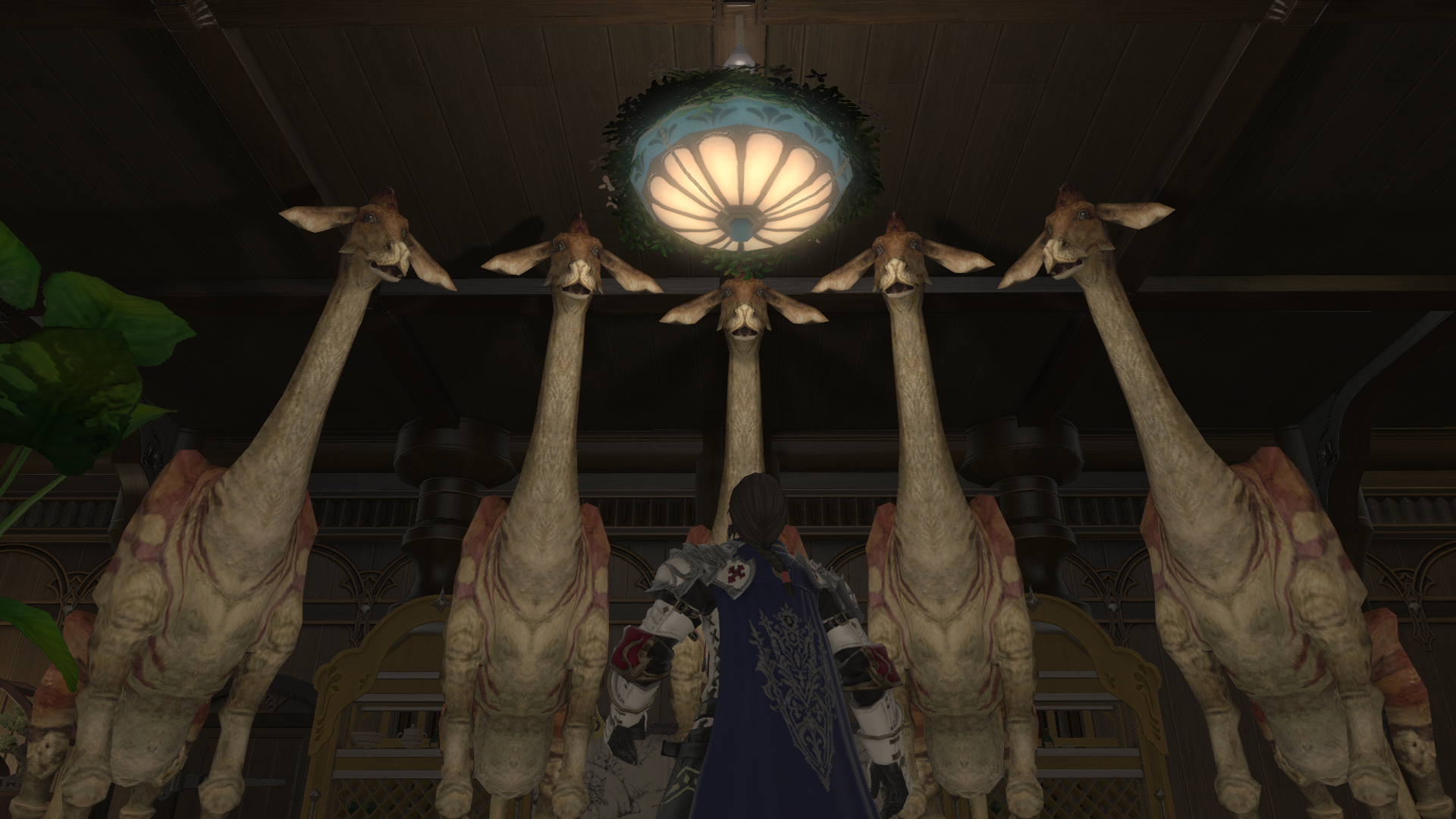 Walked Into My Fc House Today To Find A Rather Unsettling Surprise