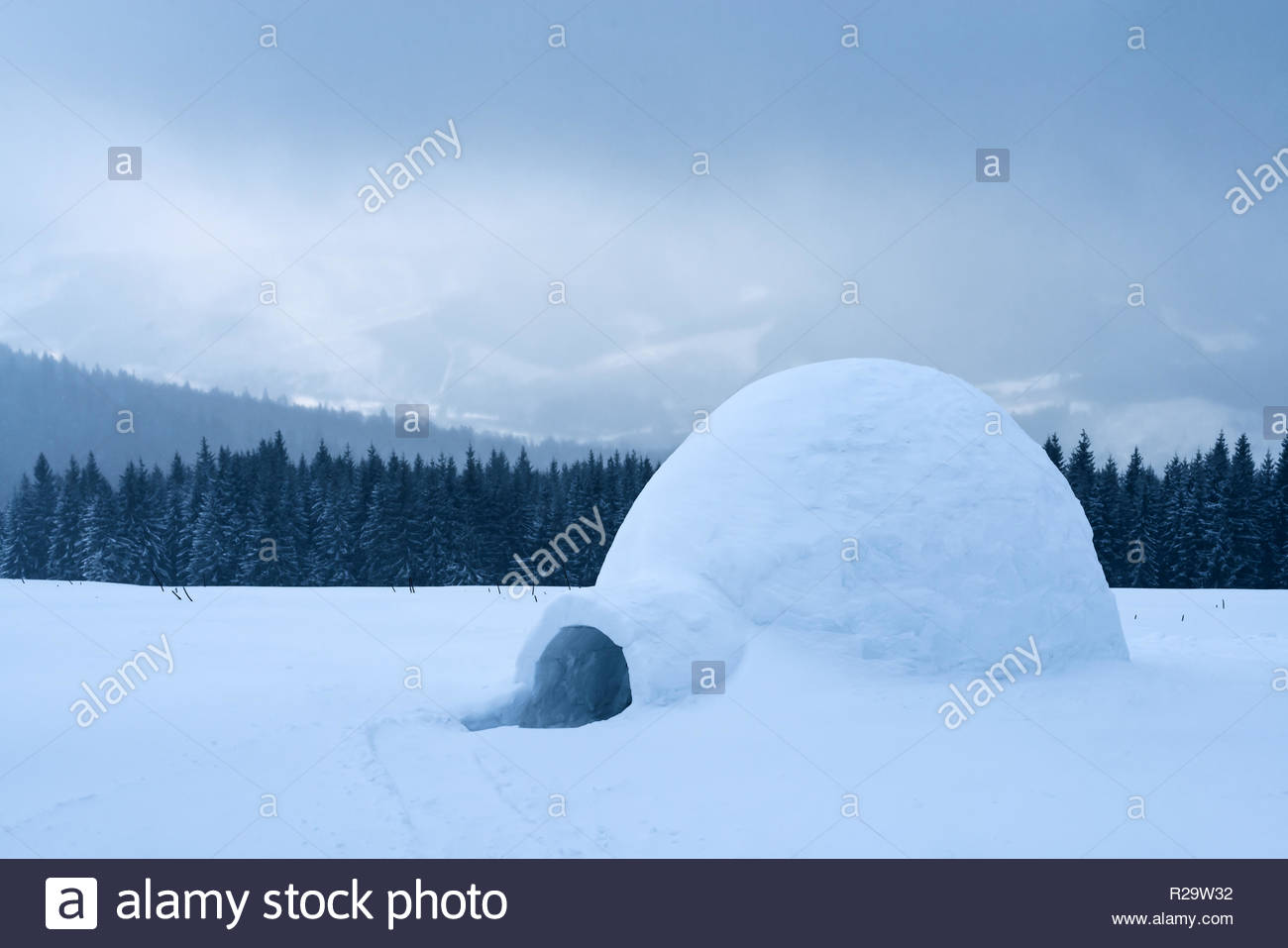 Real Snow Igloo House In The Winter Carpathian Mountains