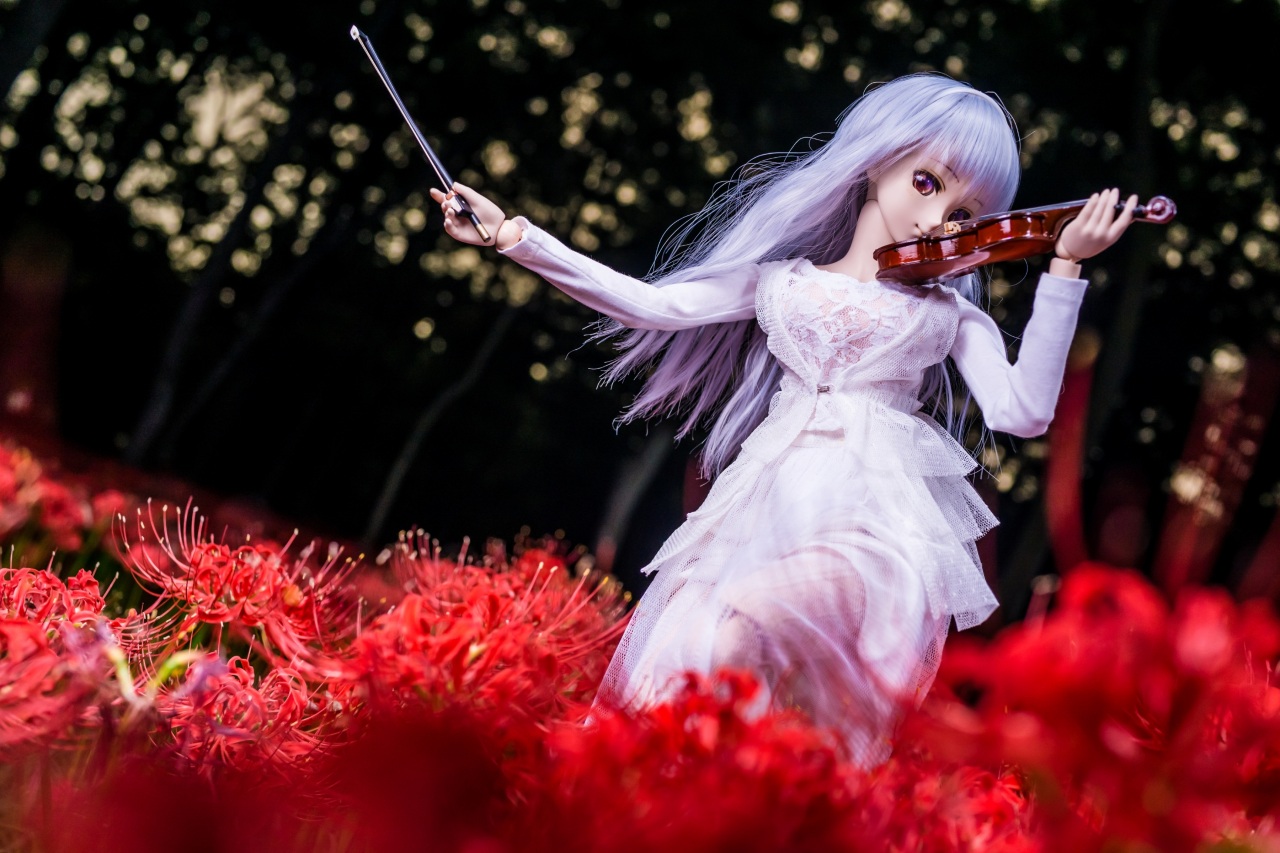 Violin Doll Dress Girls Wallpaper Pictures Photos
