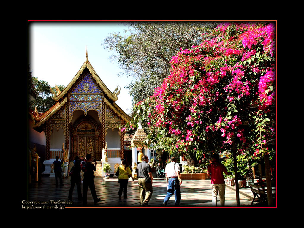 Chiangmai Wallpaper