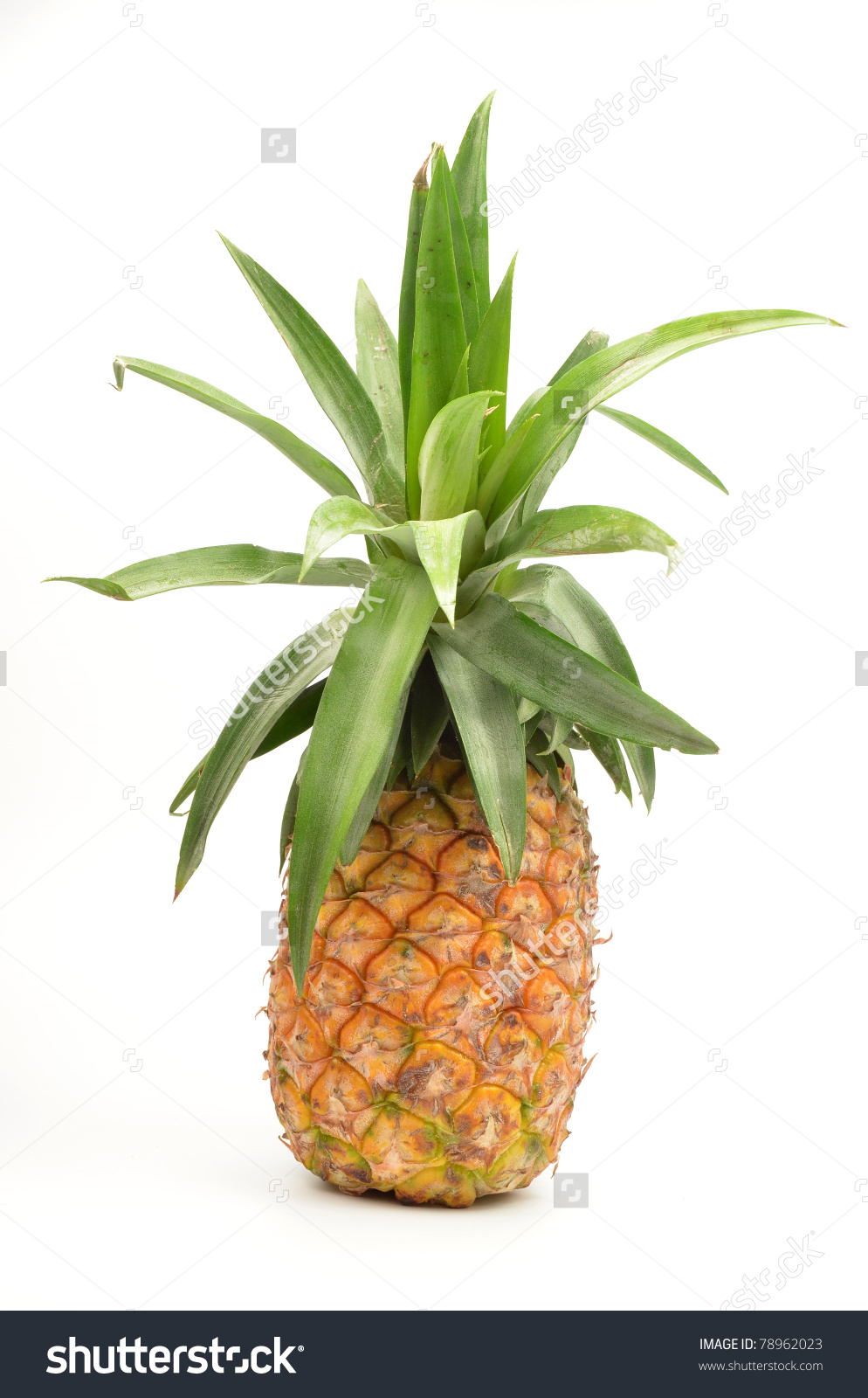 Pineapple Isolated On White Background Stock Photo