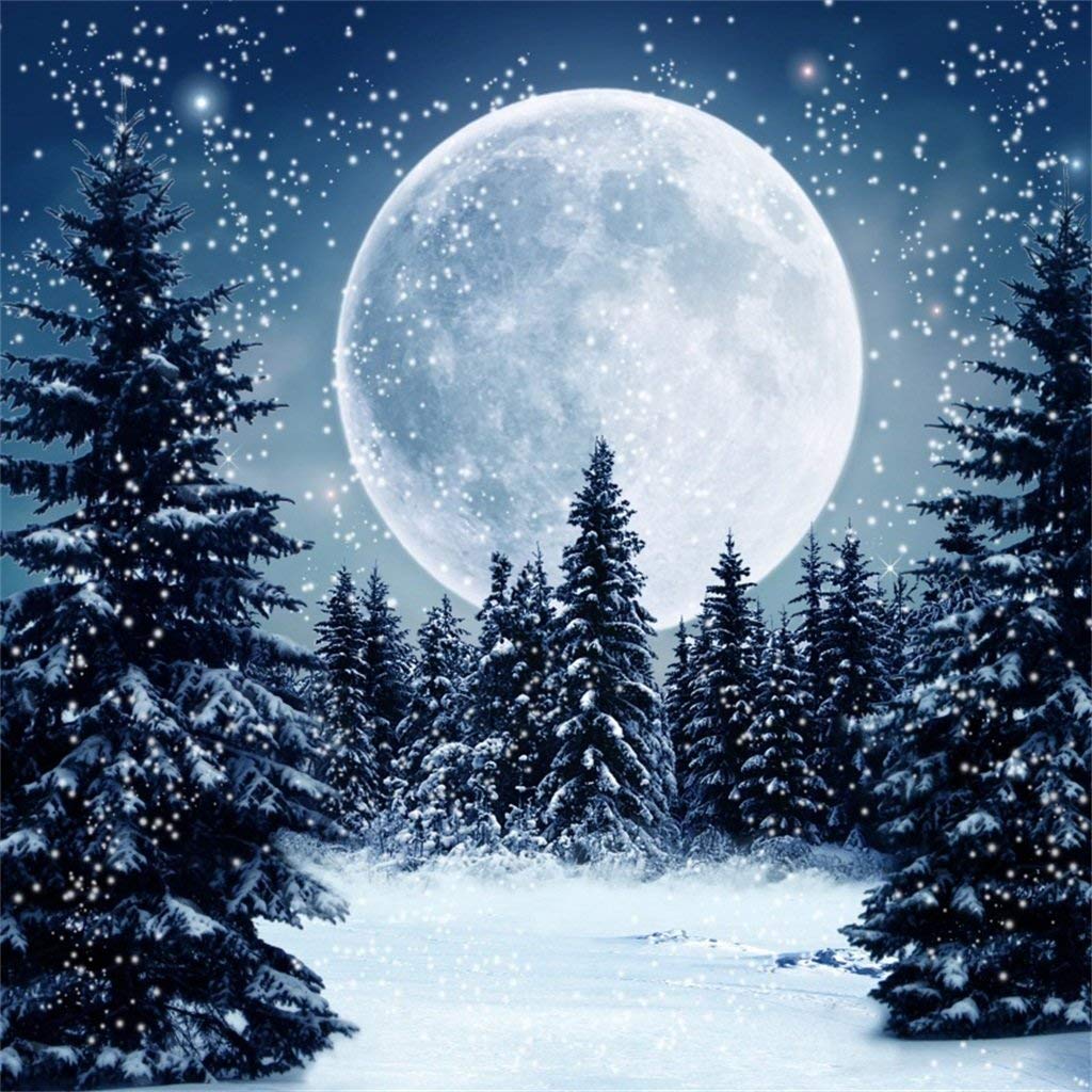 Moon Night Snow Wallpaper Teahub Io