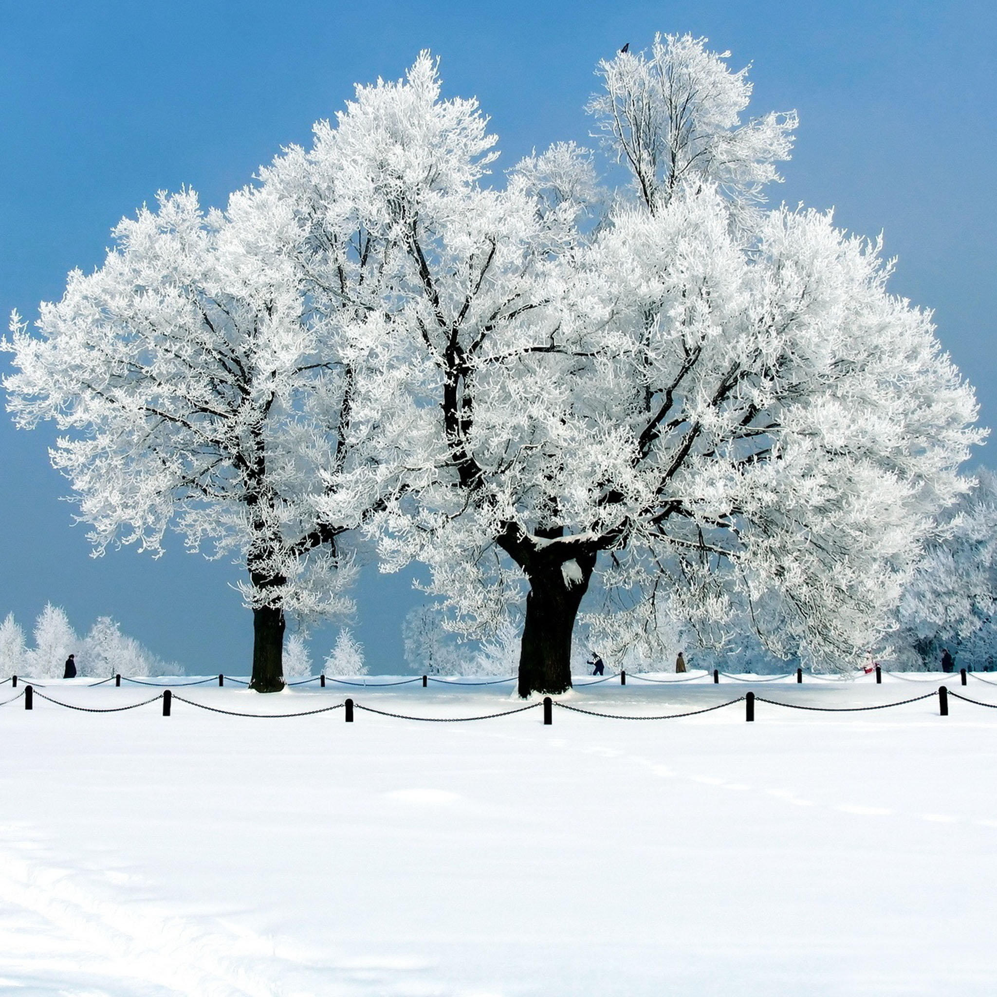 iPad Wallpaper Beautiful Winter Snow Scenes Natural Scenery New
