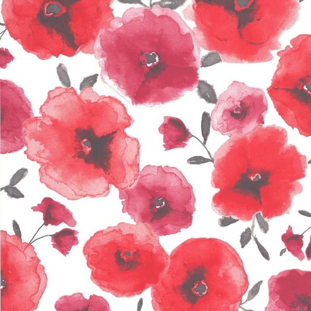Poppies Red Wallpaper Contemporary By Graham Brown