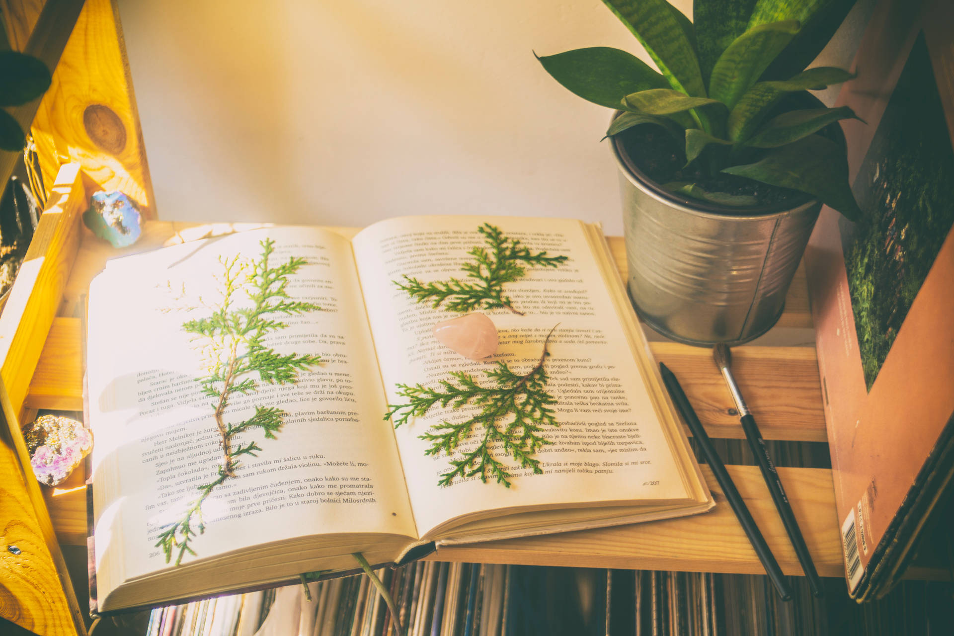 Book Aesthetic Wallpaper
