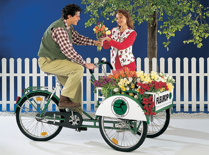 High Resolution Image Of Flower Bike For Desktop Background