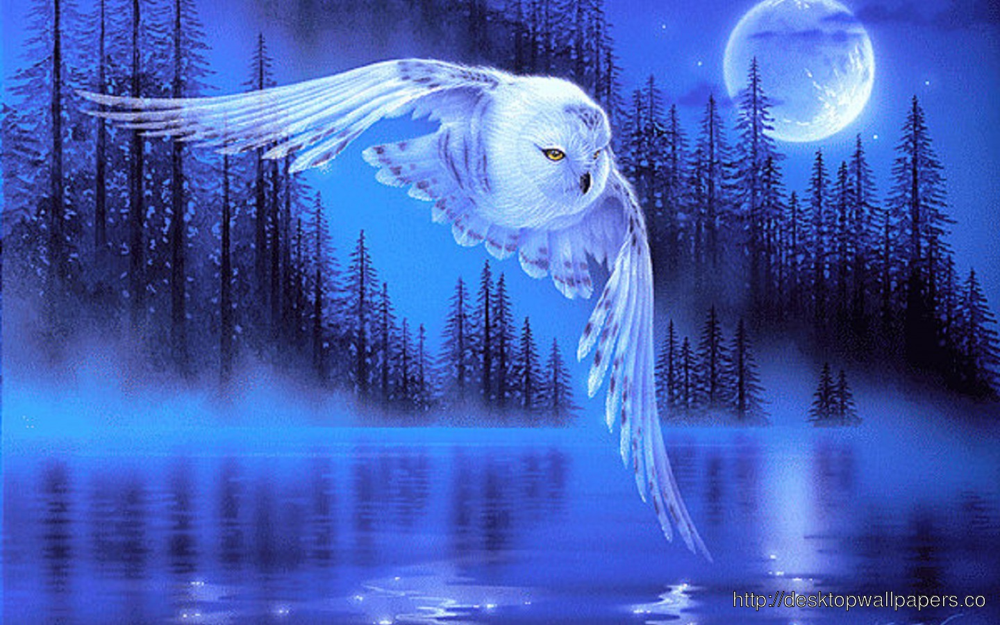 In Winter HD Wallpaper Owl Silent Flight