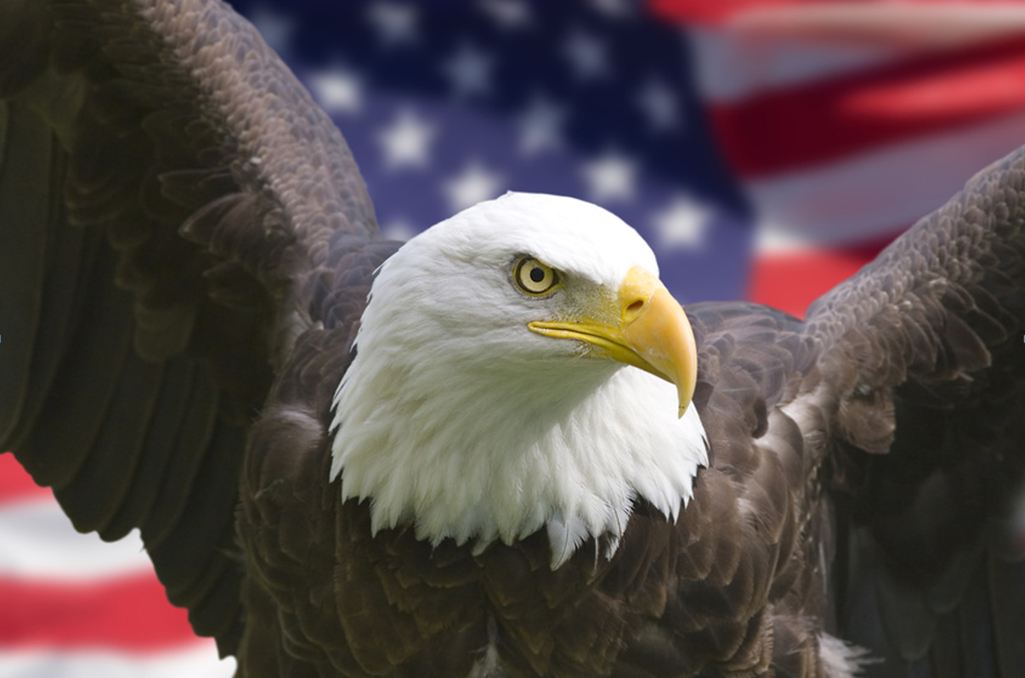 American eagles and flags coming soon to an ad near you Outsource