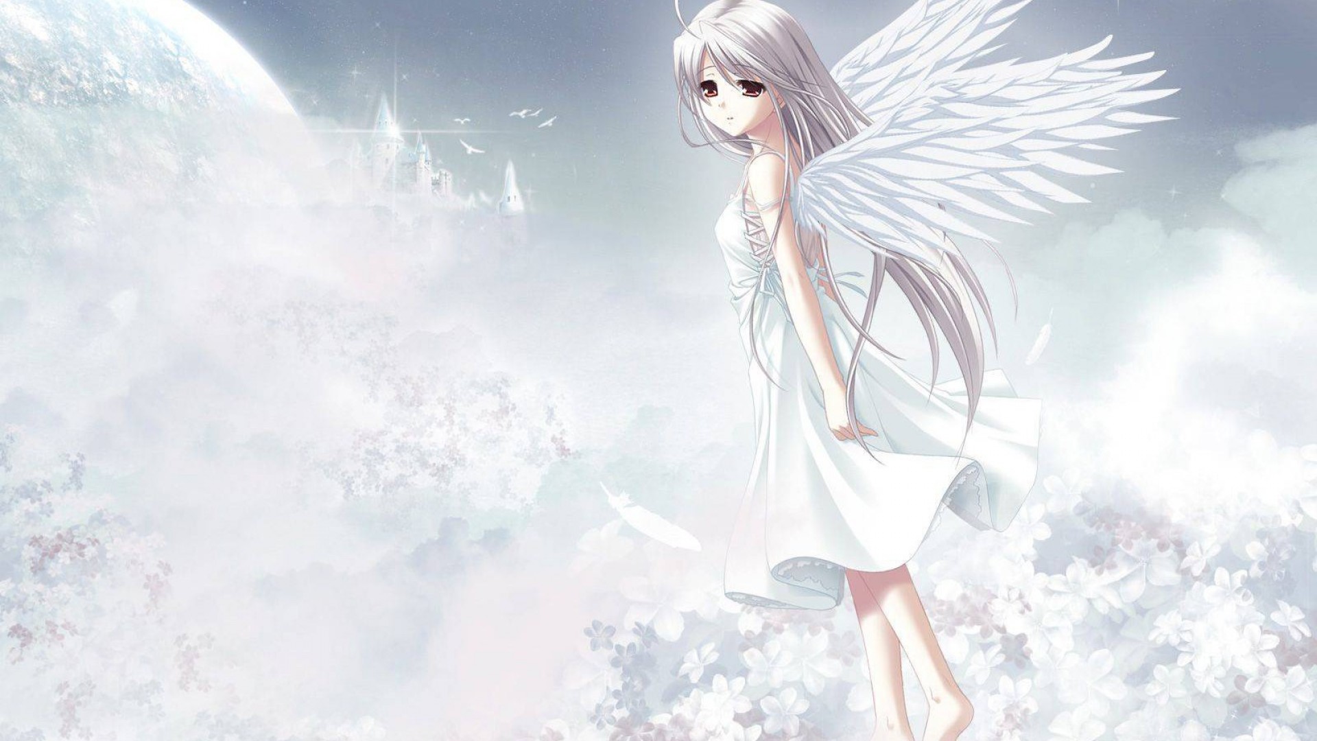 Cute Anime Angel Girl Hd Wallpaper Stylish