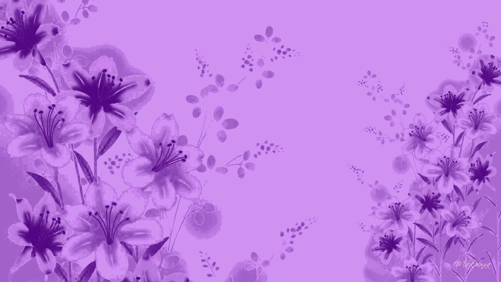 Lilac Color Wallpaper