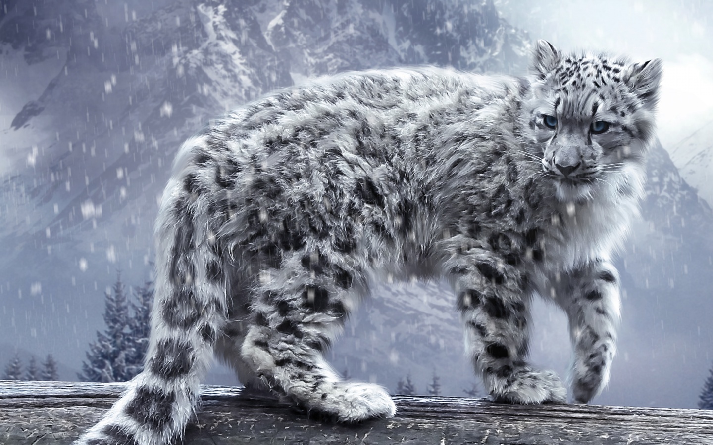 White Leopard Wallpapers HD Wallpapers