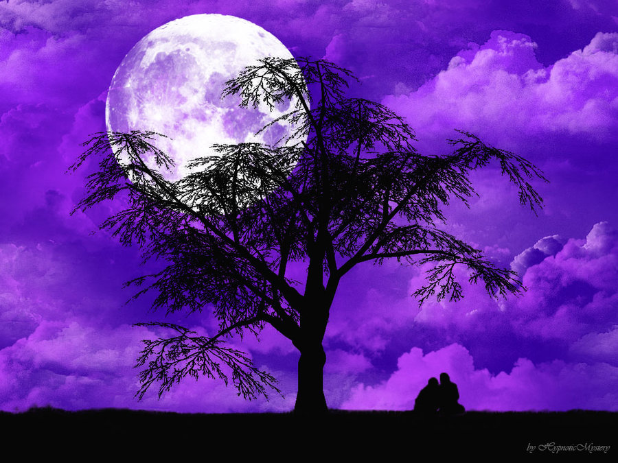 Violet Night Wallpaper by HypnoticMystery on