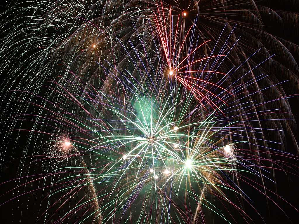 Fireworks Animated Desktop Wallpaper Dog