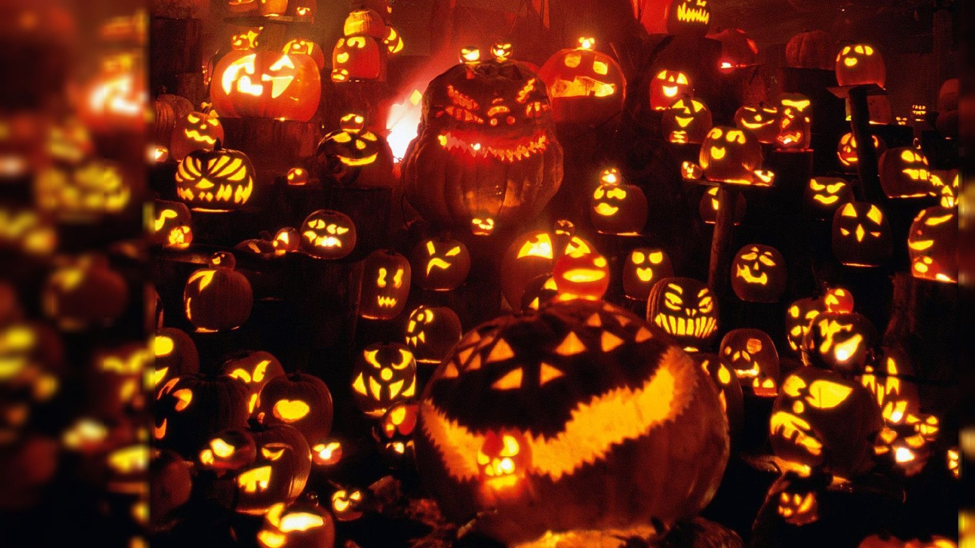 Halloween Pumpkin Background Wallpaper