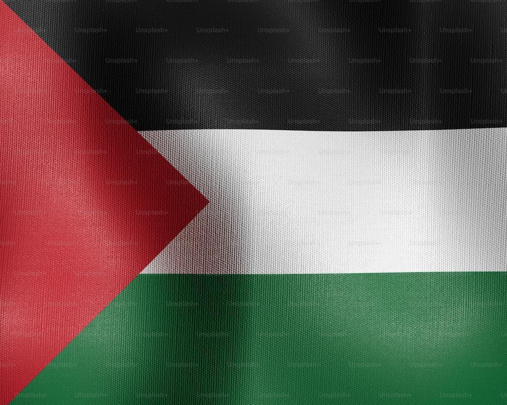 Palestine Flag Pictures Image