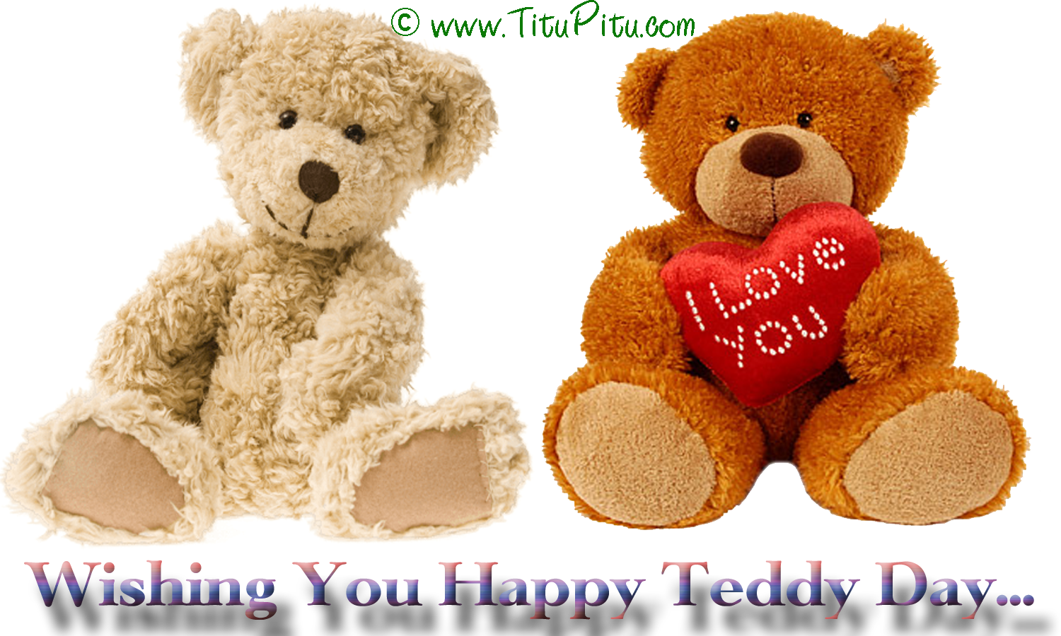 Free download Teddy day wallpaper Haryanvi makhol Jokes in Hindi ...