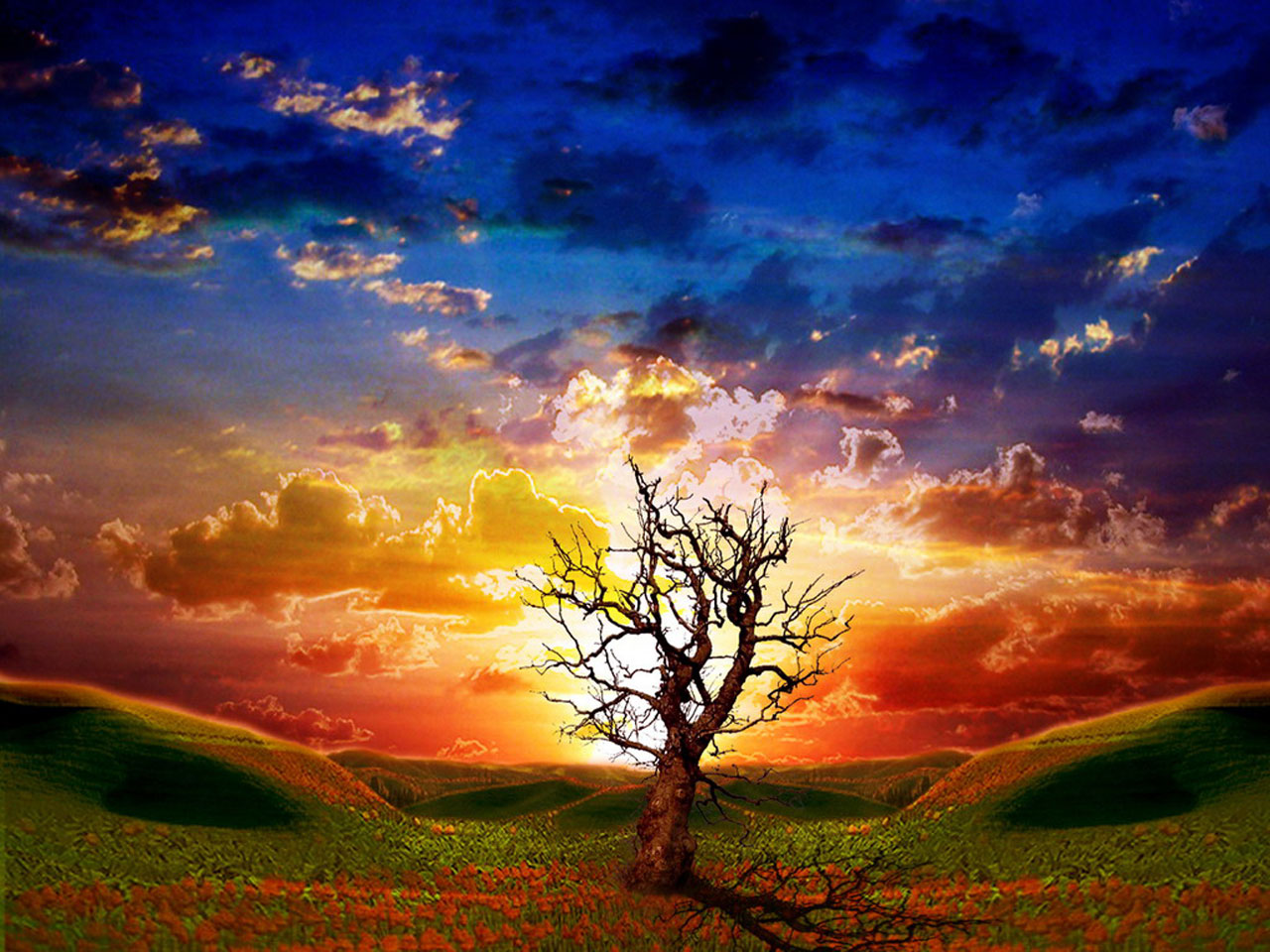 3D Render of a lone tree at sunset in a rolling hills landscape