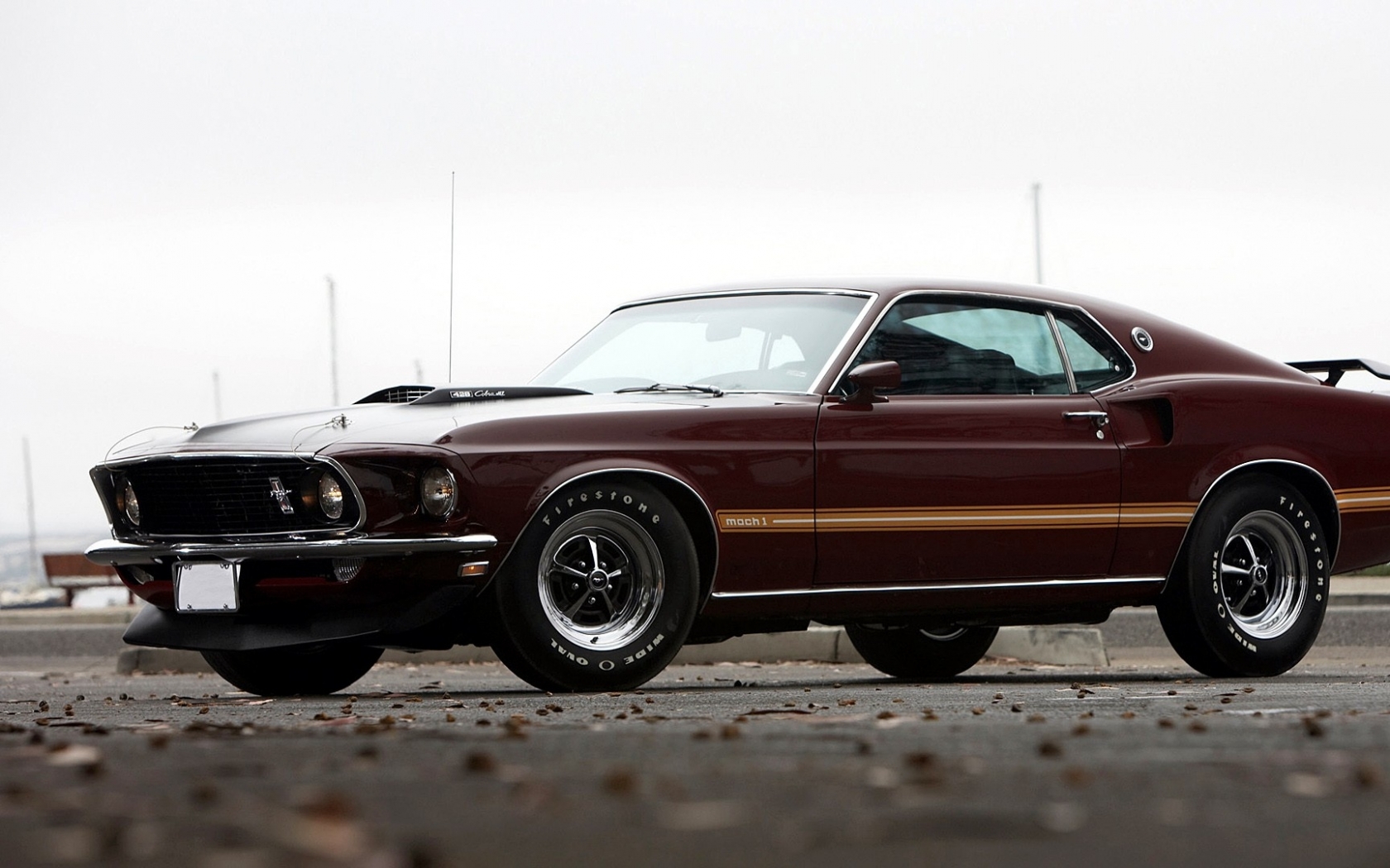 Wallpaper Cars Muscle Ford Mustang