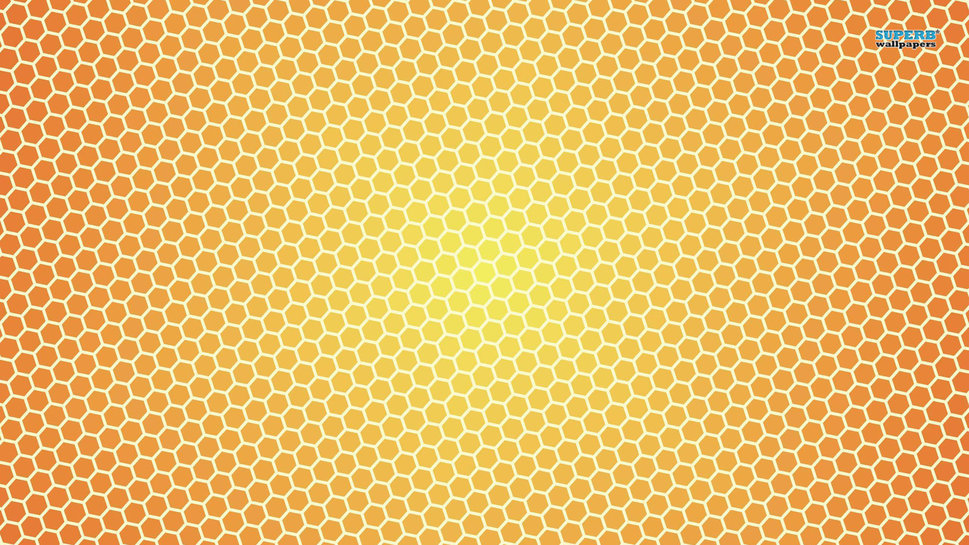 Honey Bee B Wallpaper Desktop