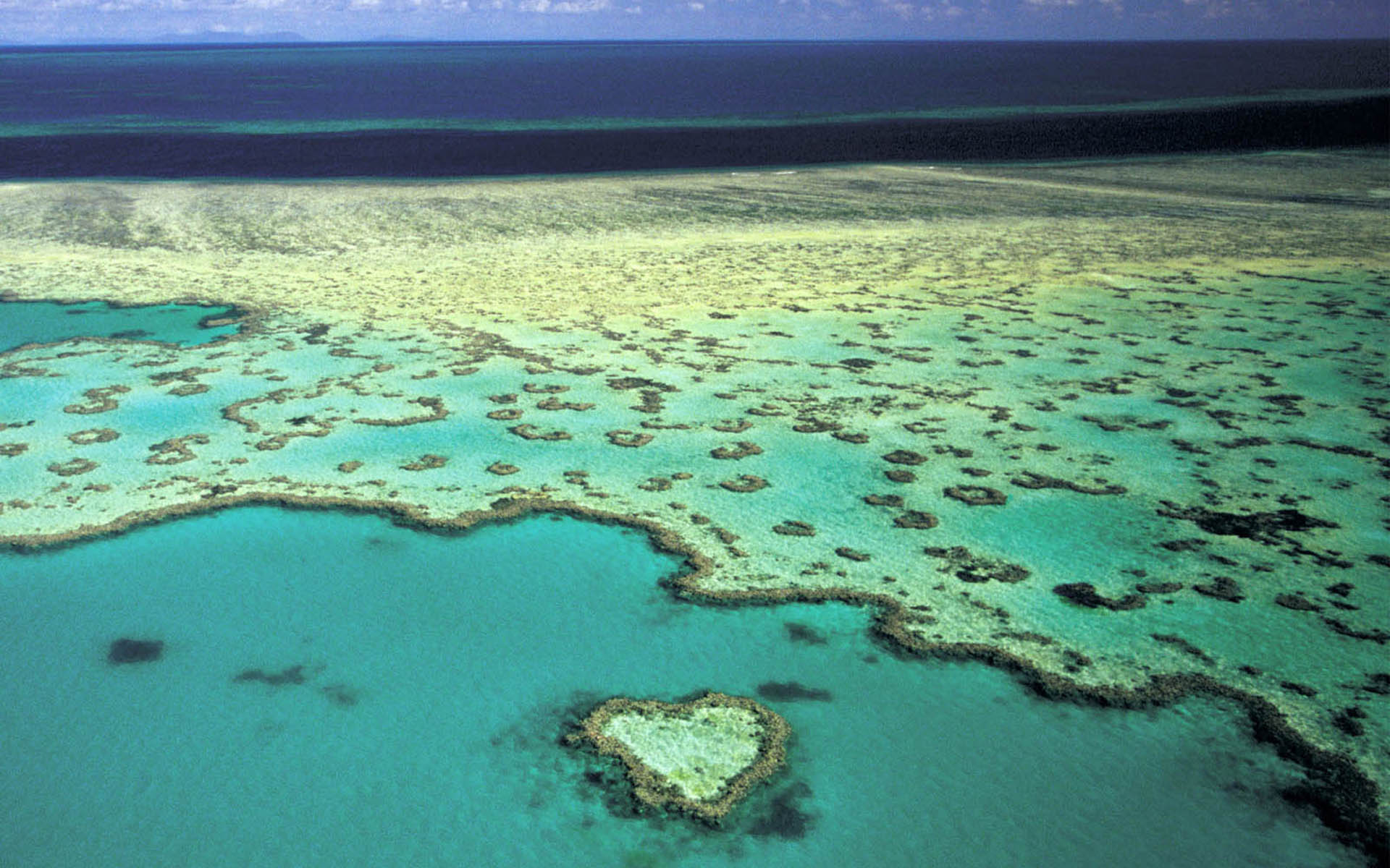 Heart Wallpaper Great Barrier Reef