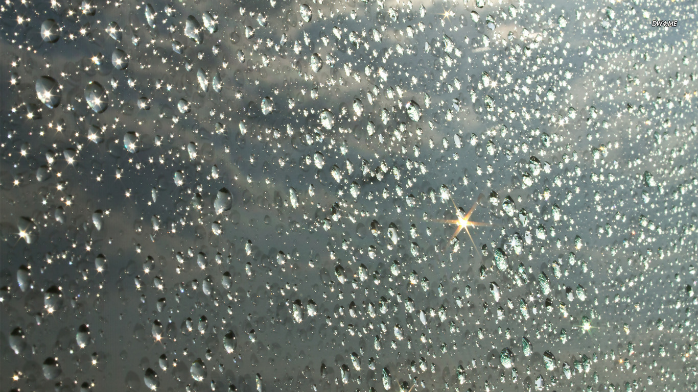 Shiny Water Drops Wallpaper Photography