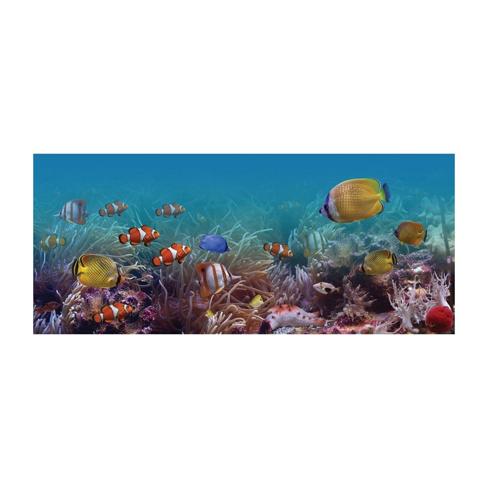  Finding Fishies Underwater Removable Wallpaper Mural Lowes Canada
