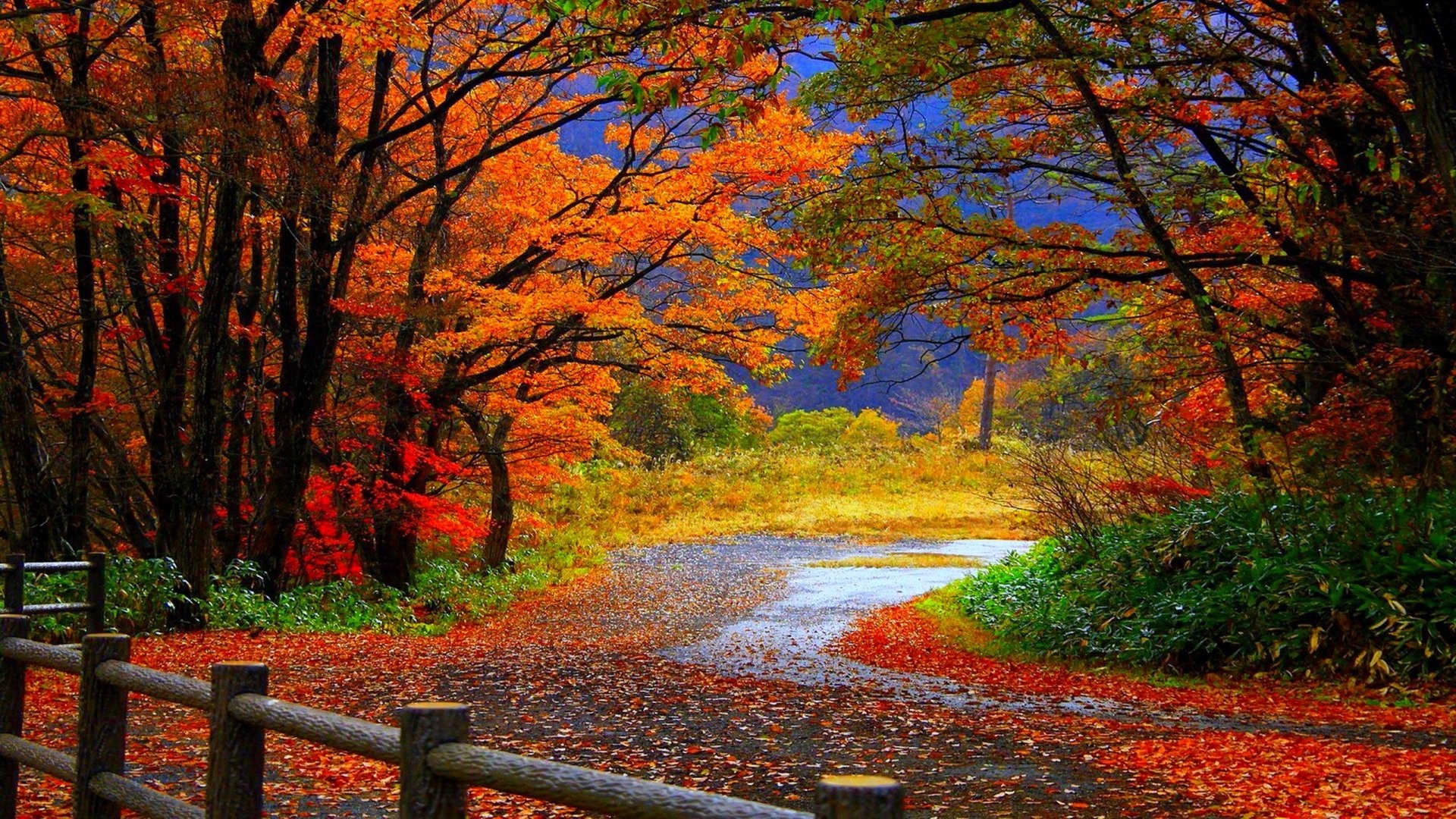 A picturesque autumn landscape with vibrant fall foliage, a winding path covered in colorful leaves, and a rustic wooden fence