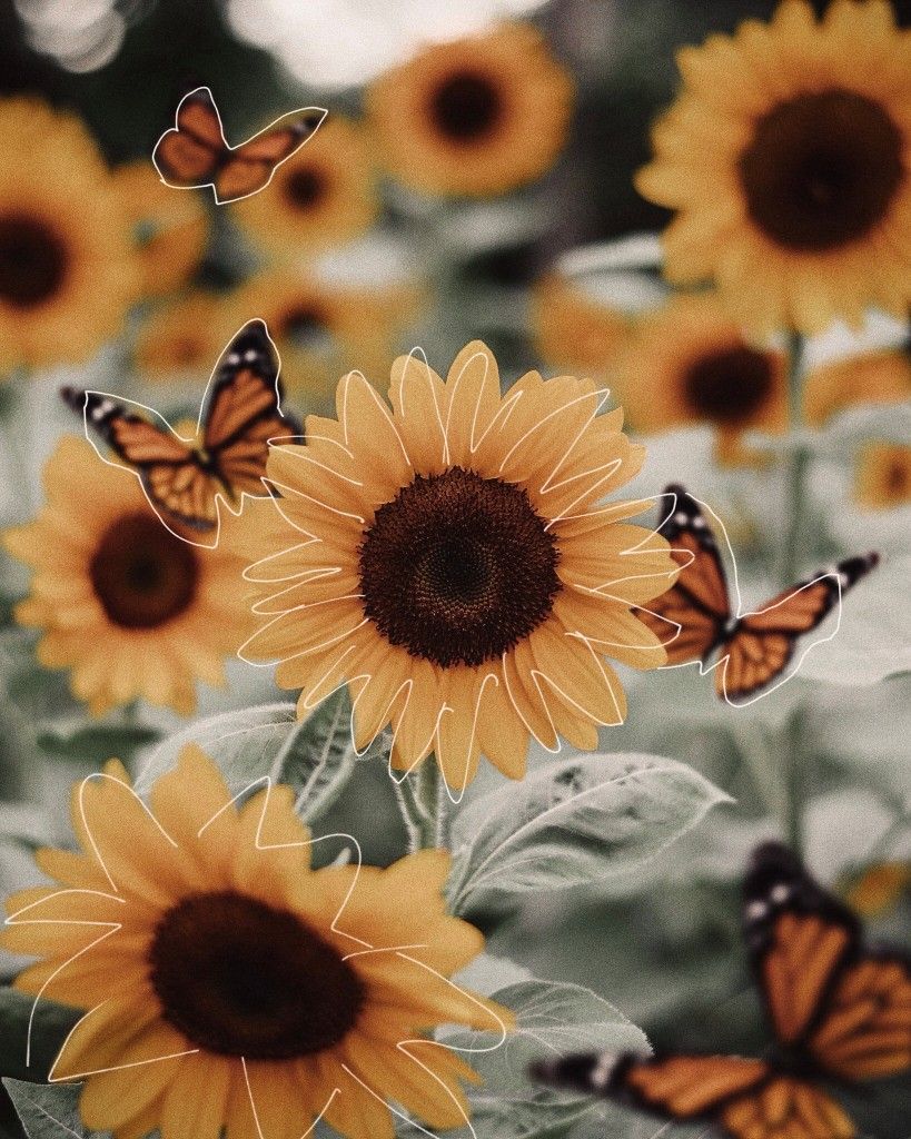 E98104350587F54A37D48F6272E1A5Ea Wallpaper