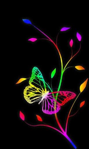 rainbow butterfly rainbow butterfly live wallpaper this