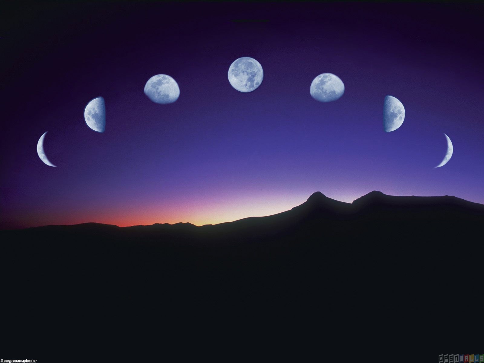 Phases Of The Moon Wallpaper Open Walls