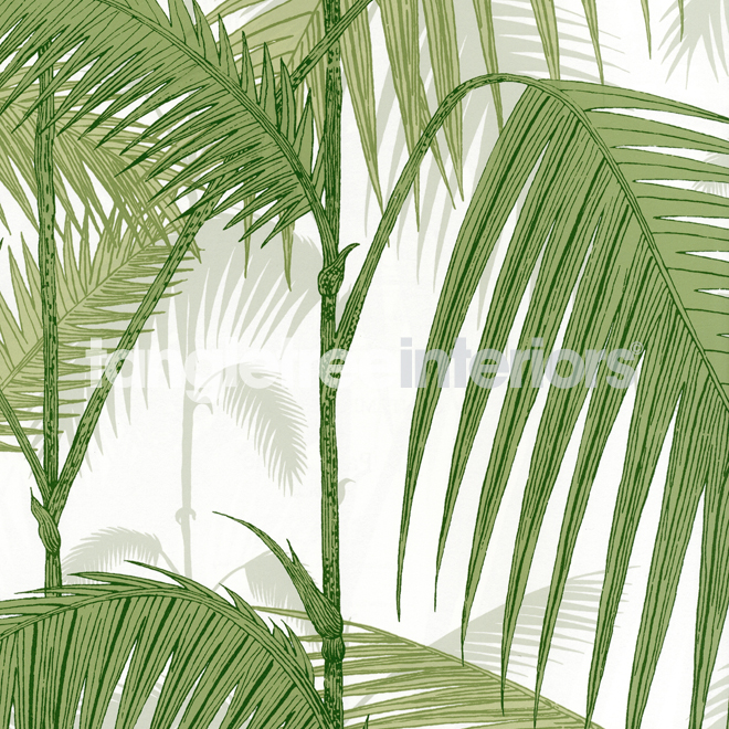 Palm Jungle Wallpaper From Cole And Son