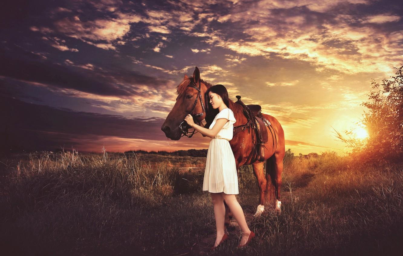 Wallpaper Girl Sunset Mood Horse Image For Desktop Section