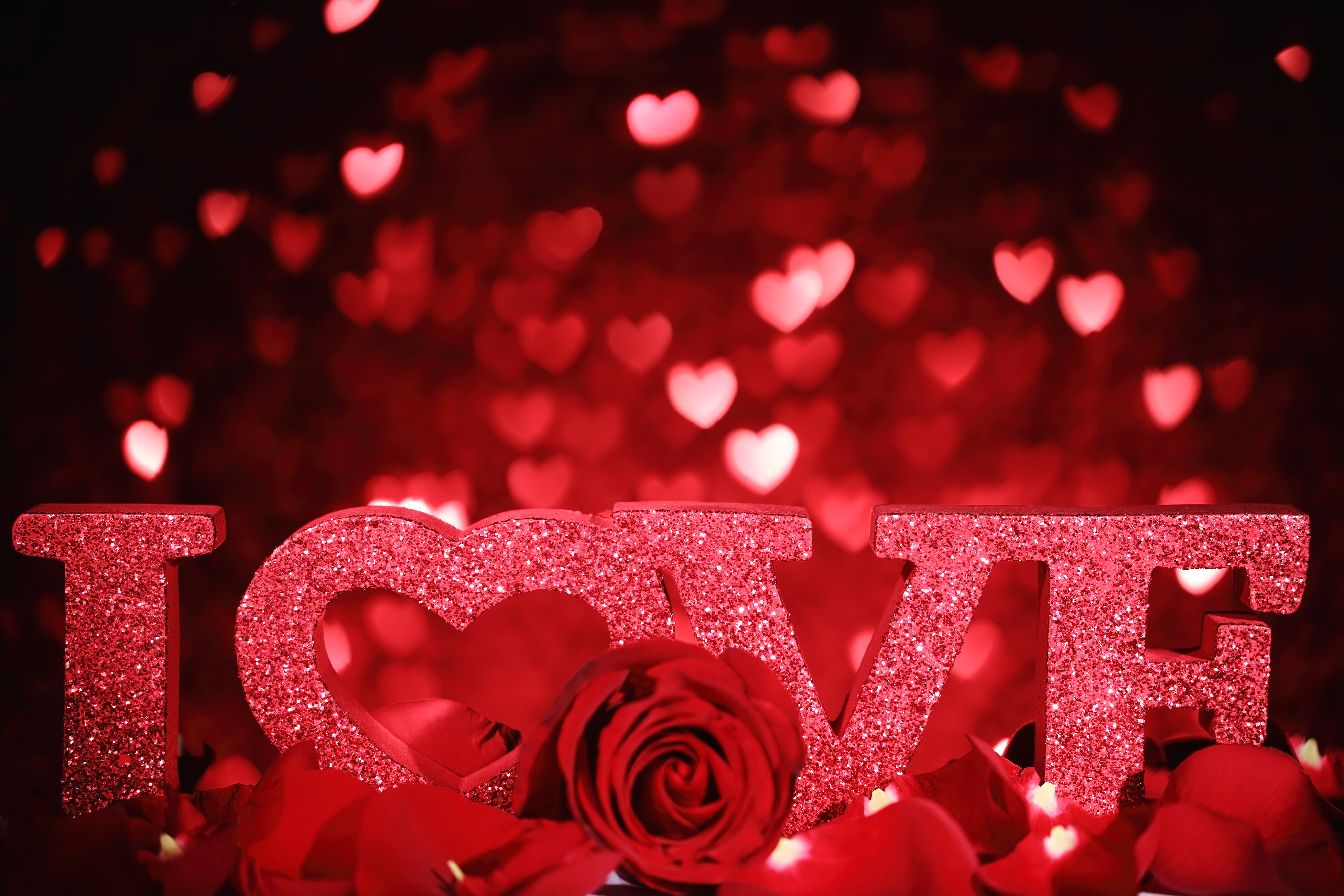 Red And Black Love Background With Rose Gallery Yopriceville