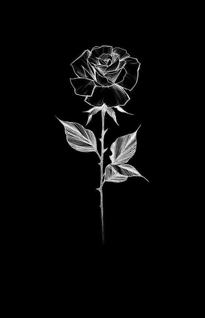 Alex Pilgrim On Fav In Black Roses Wallpaper Dark