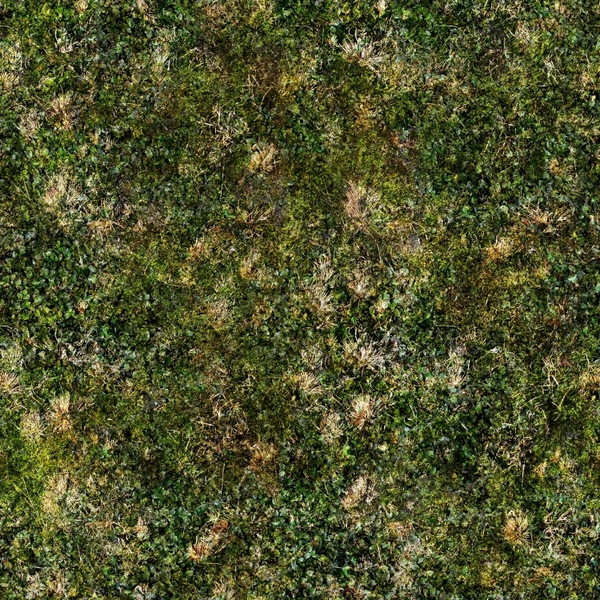 Textures Grass Moss Wallpaper