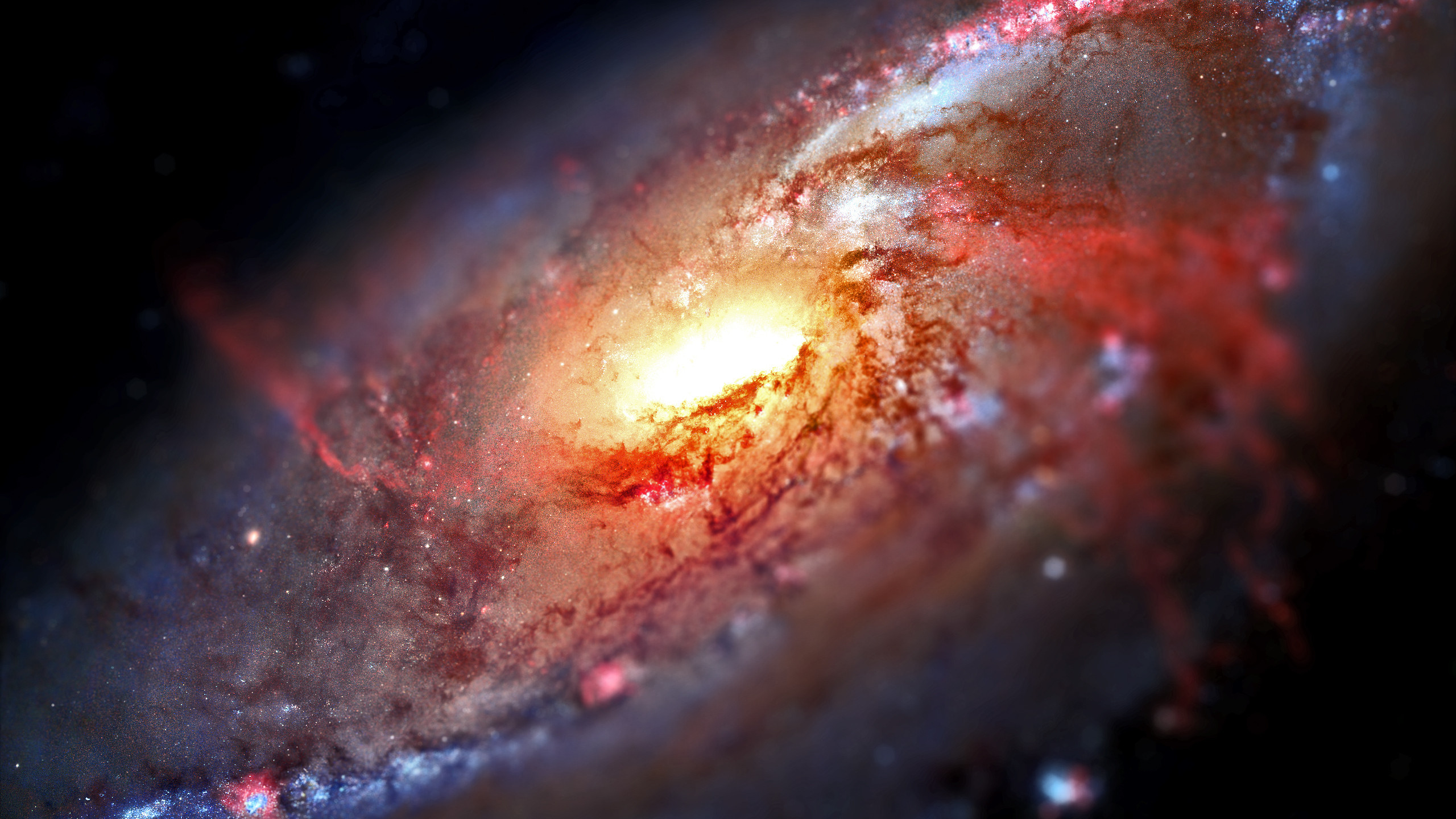 Download 1440p Space Cool Andromeda Galaxy Wallpaper  Wallpaperscom